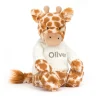 Bashful Giraffe with Personalised Cream Jumper