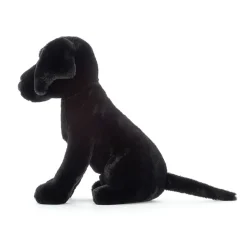 Pippa Black Labrador